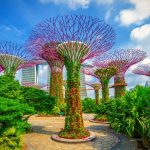 6 Tempat Wisata Populer di Singapura
