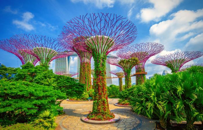 6 Tempat Wisata Populer di Singapura